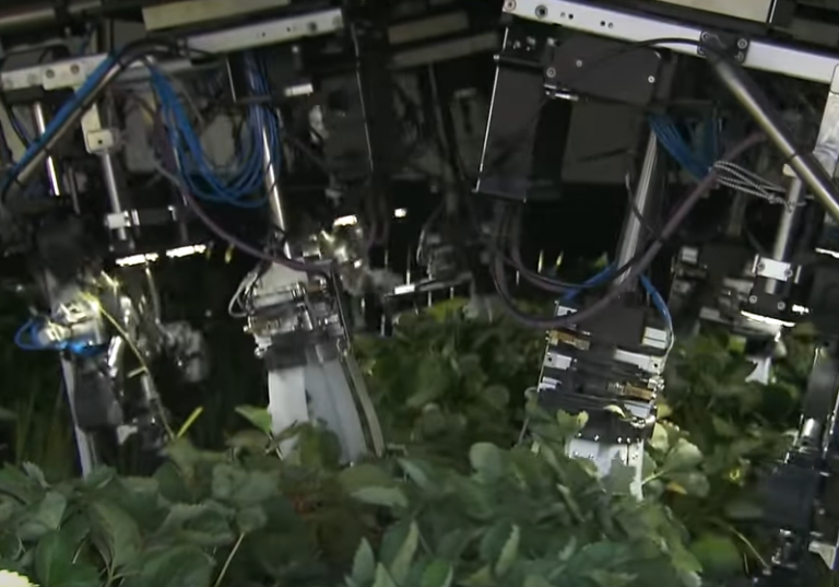 From CBS: AI could revolutionize the farming industry