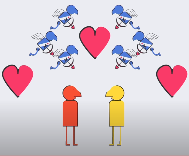 From NBC: How Algorithms Choose Your Valentine on Match, OK Cupid and Tinder